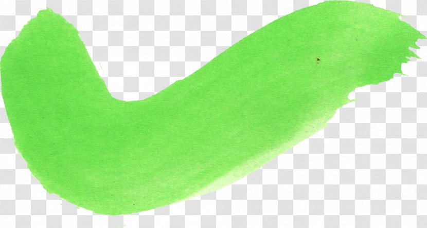 Leaf - Grass - Green Transparent PNG