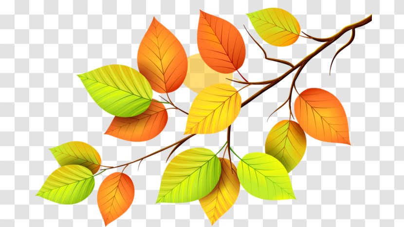 Paper Autumn Leaves Leaf - Petal Transparent PNG