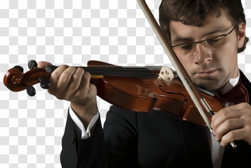 Violist Violinist Violin Viola Fiddle - String Instrument Family Transparent PNG