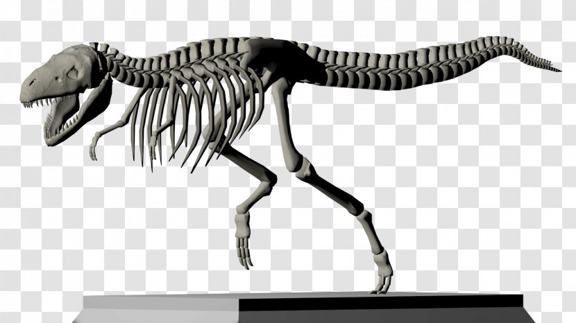 Tyrannosaurus DeviantArt Art Museum - Rex Transparent PNG
