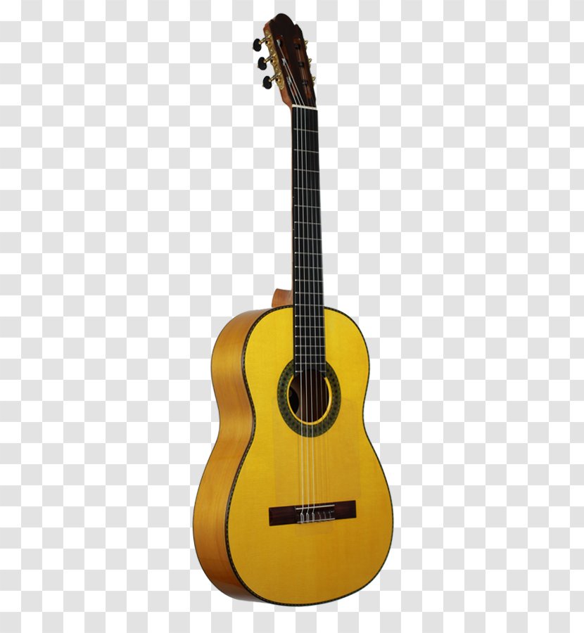 Acoustic Guitar Classical C. F. Martin & Company Acoustic-electric - Watercolor - Flamenco Instruments Transparent PNG