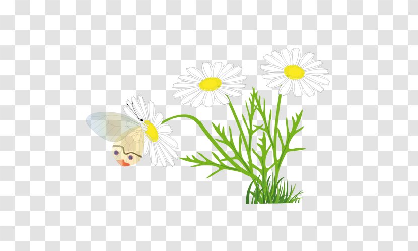 Butterfly Free Content Clip Art - Insect - Transparent Daisy Cliparts Transparent PNG