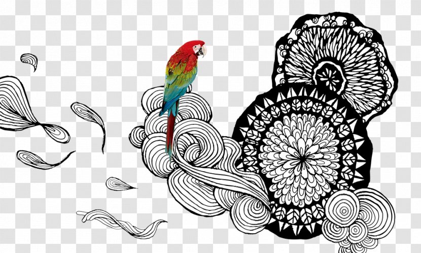 Amazon Parrot Drawing - And Hand-painted Flowers Transparent PNG