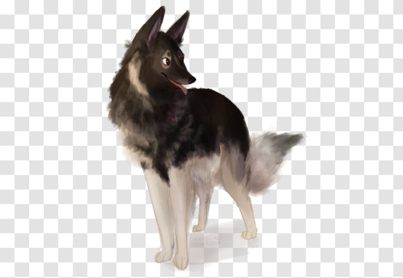 Shiloh Shepherd Dog Utonagan Tervuren Icelandic Sheepdog Native American Indian - Breed Transparent PNG