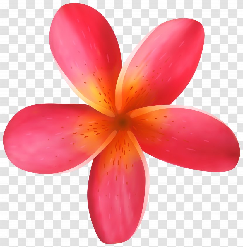 Flower Clip Art - Tropics - Tropical Image Transparent PNG