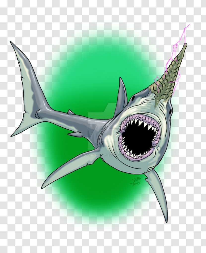 Requiem Shark Blacktip Reef Carcharhinus Amblyrhynchos Whitetip Oceanic Transparent PNG