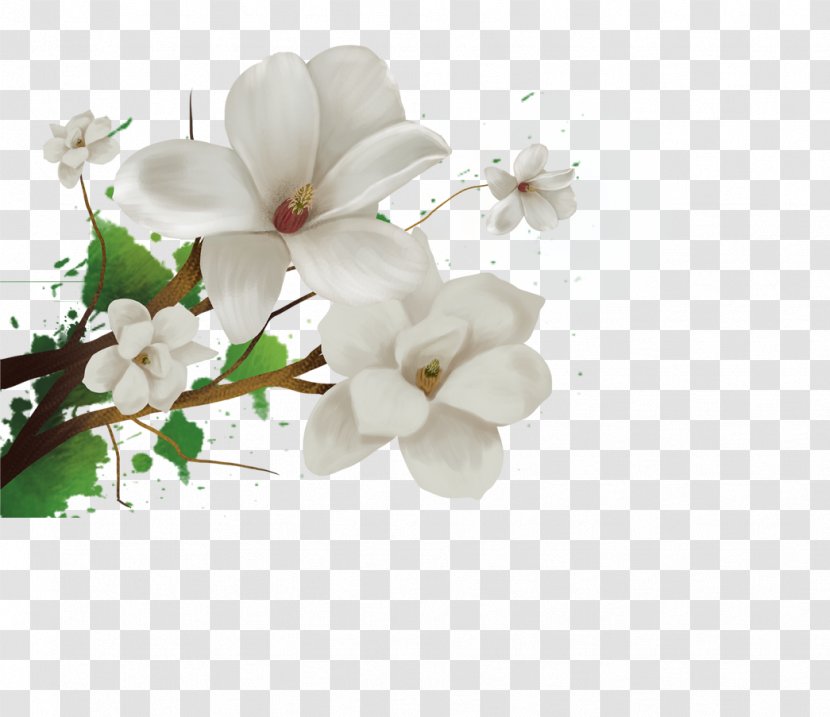 Cape Jasmine Flower Download - Floral Design - Lily Transparent PNG