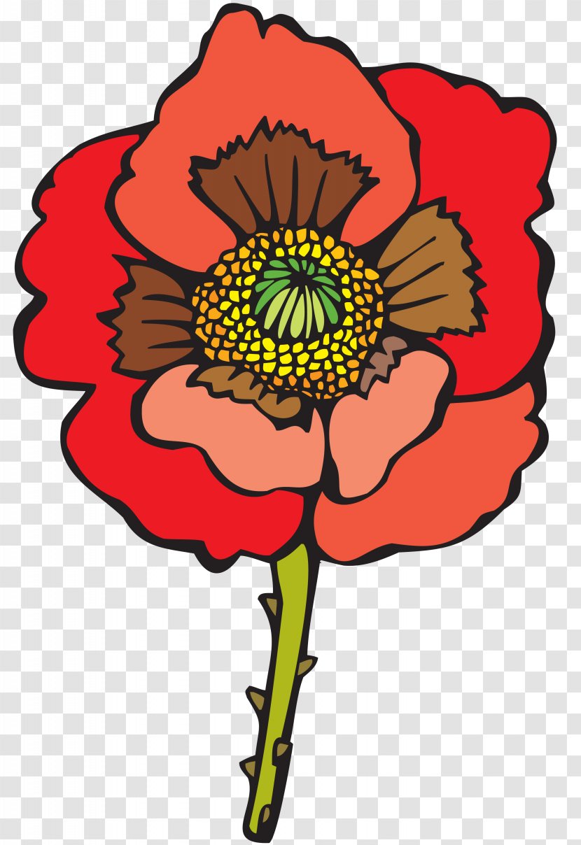 Flower Common Poppy Clip Art - Flora - Wild Flowers Transparent PNG