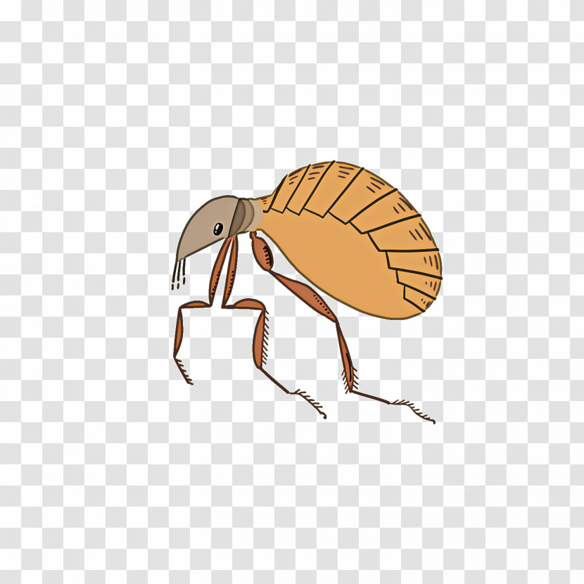 Insect Pest Weevil Membrane-winged Insect Ant Transparent PNG