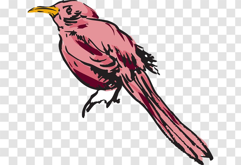 Bird Feather Wing Clip Art - Fauna - Pink Transparent PNG