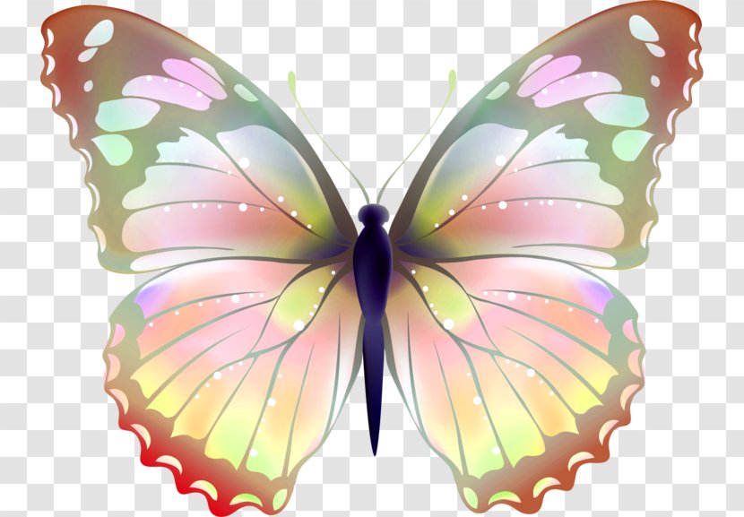 Butterfly Greta Oto Desktop Wallpaper Clip Art - Moth - Plumeria 14 2 1 Transparent PNG