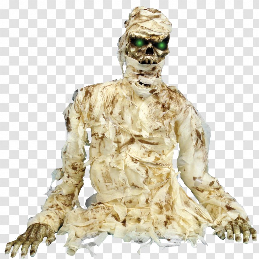 Thrashing Mummy Grave Toy - Theatrical Property - Chinchorro Mummies Transparent PNG