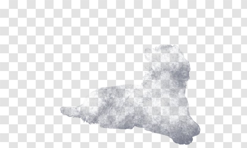 Dog Breed Snout White - Mammal Transparent PNG