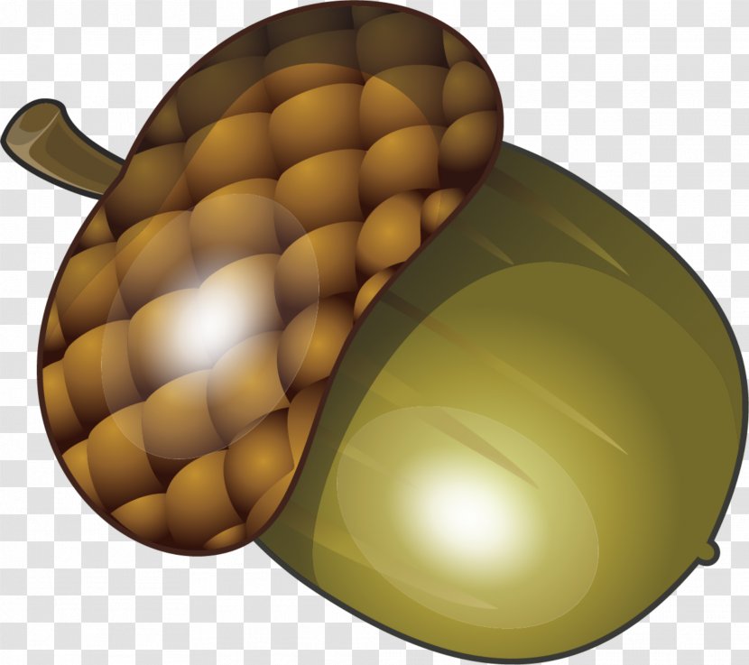 Green Acorn Fruit - Food - Hand Painted Transparent PNG