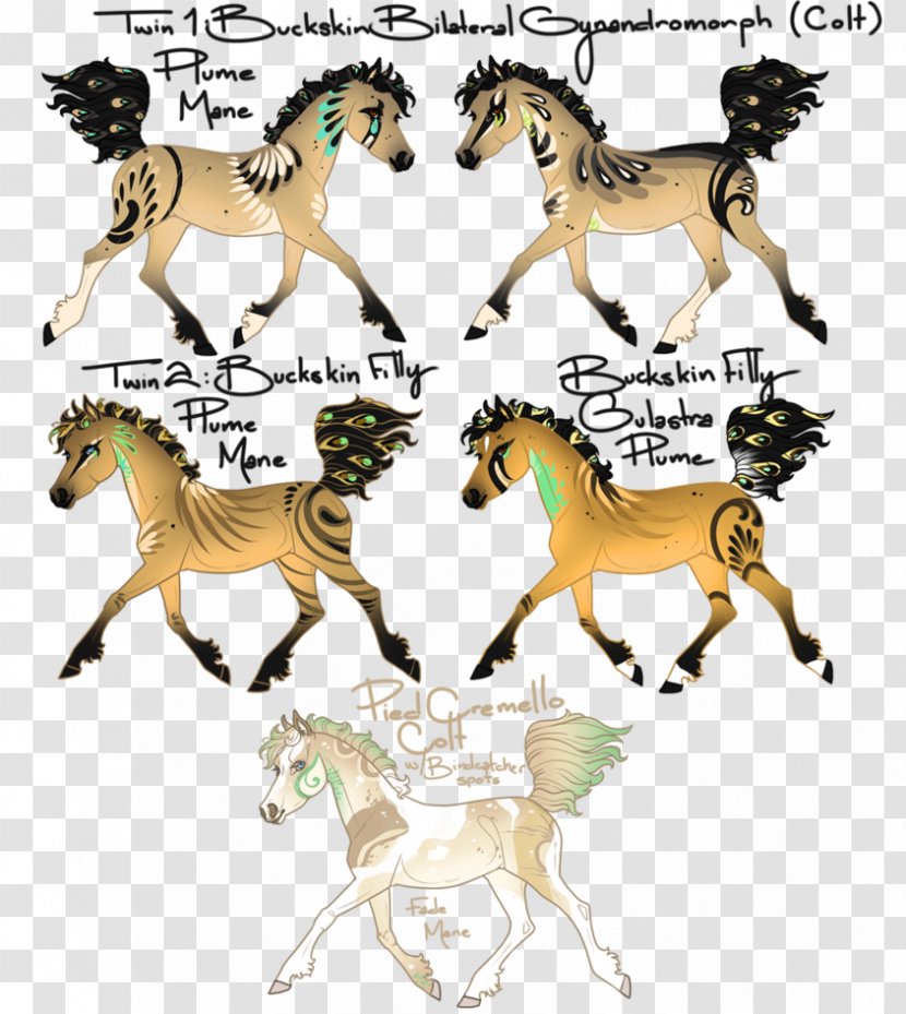 Mustang Stallion Colt Pony Mane - Horse Tack Transparent PNG