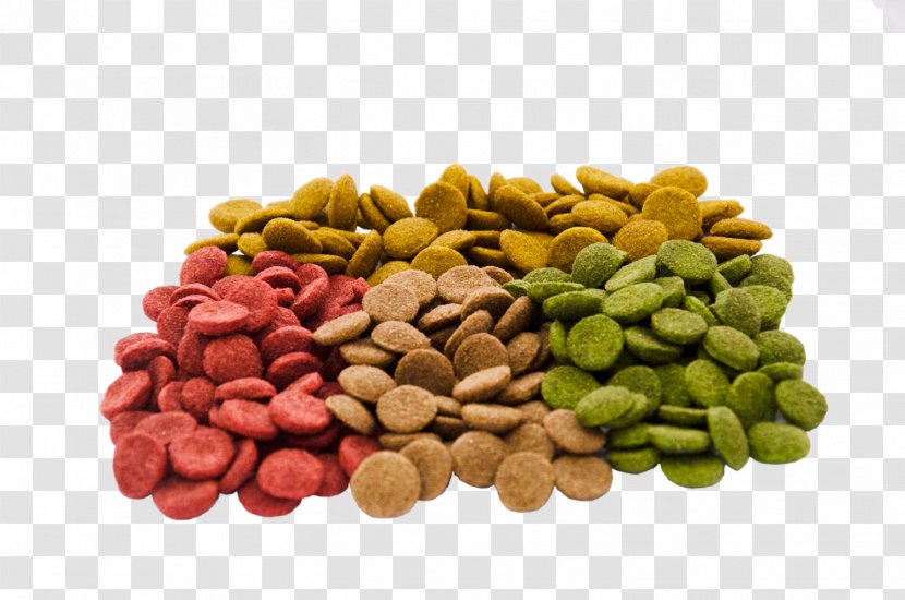 Food Coloring Snack Mixed Nuts Pistachio - Peanut - Dog Transparent PNG