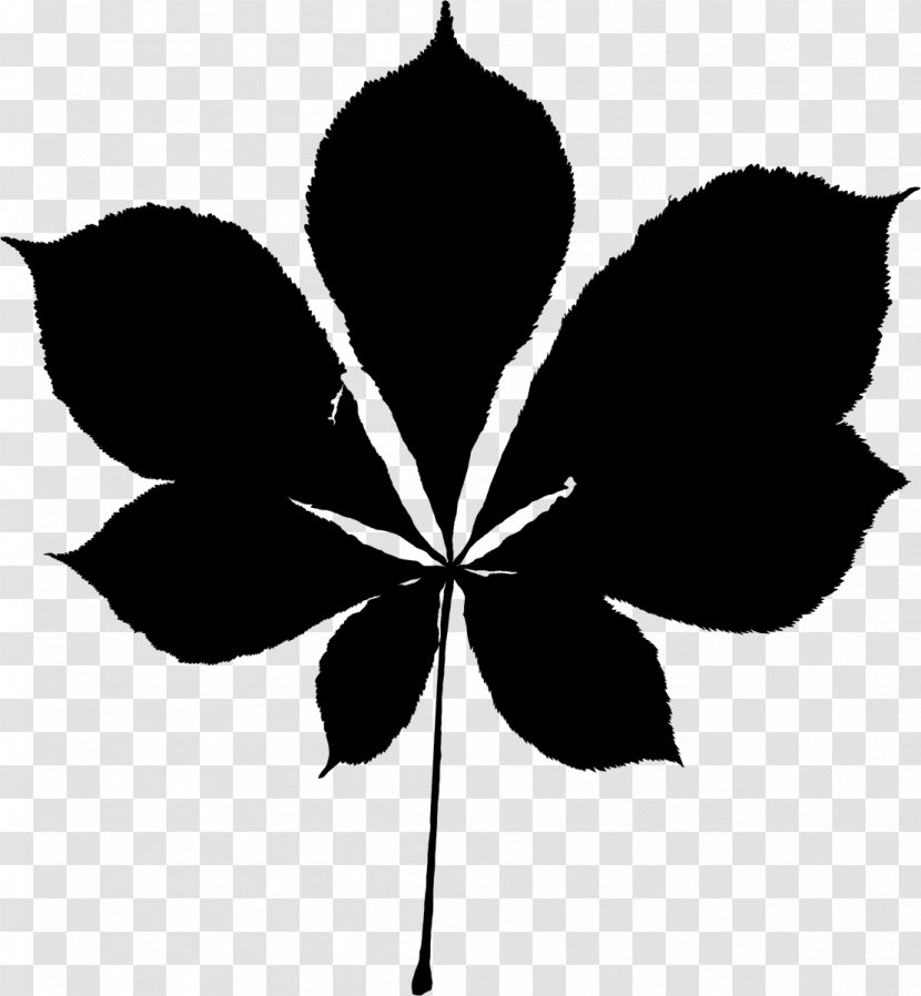 Black & White - Plants - M Leaf Silhouette Plant Stem Flowering Transparent PNG