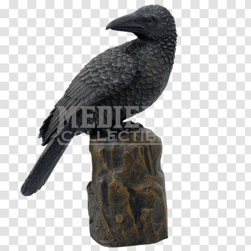 American Crow Bird New Caledonian Bronze Sculpture Raven - Perched Overlay Transparent PNG