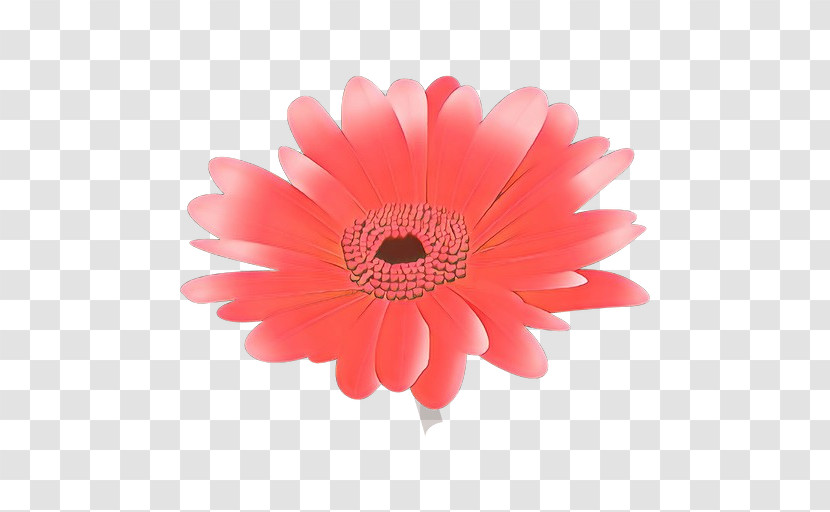 Daisy Transparent PNG