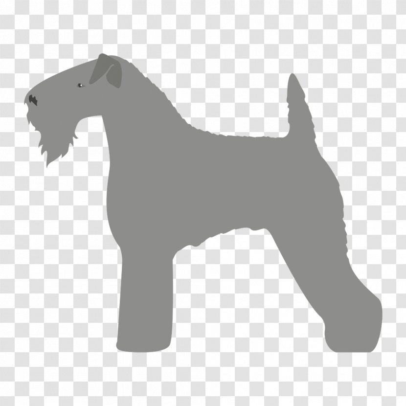 Miniature Schnauzer Lakeland Terrier Dog Breed Kerry Blue - Pet - Norfolk Transparent PNG