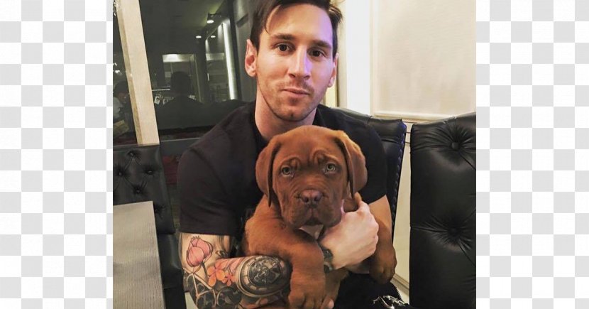 Lionel Messi FC Barcelona Argentina National Football Team Dogue De Bordeaux Player - Fc Transparent PNG