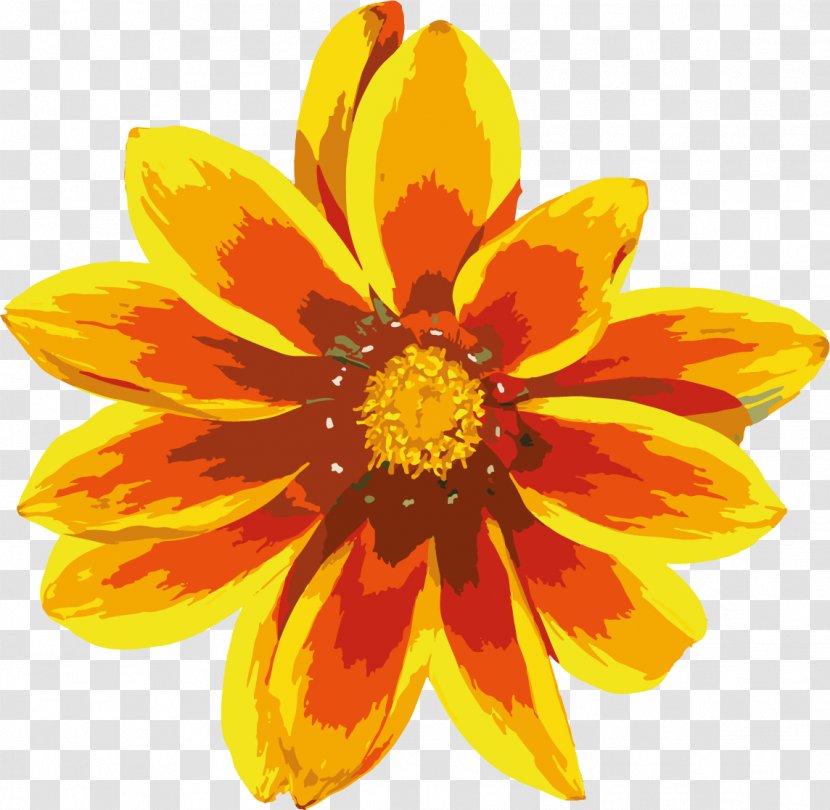 Common Sunflower Calendula Officinalis Yellow - Annual Plant - Gazania Clipart Transparent PNG