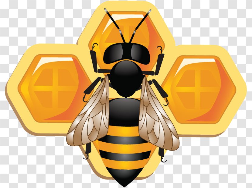 Honey Bee Insect Honeycomb - Pest Transparent PNG