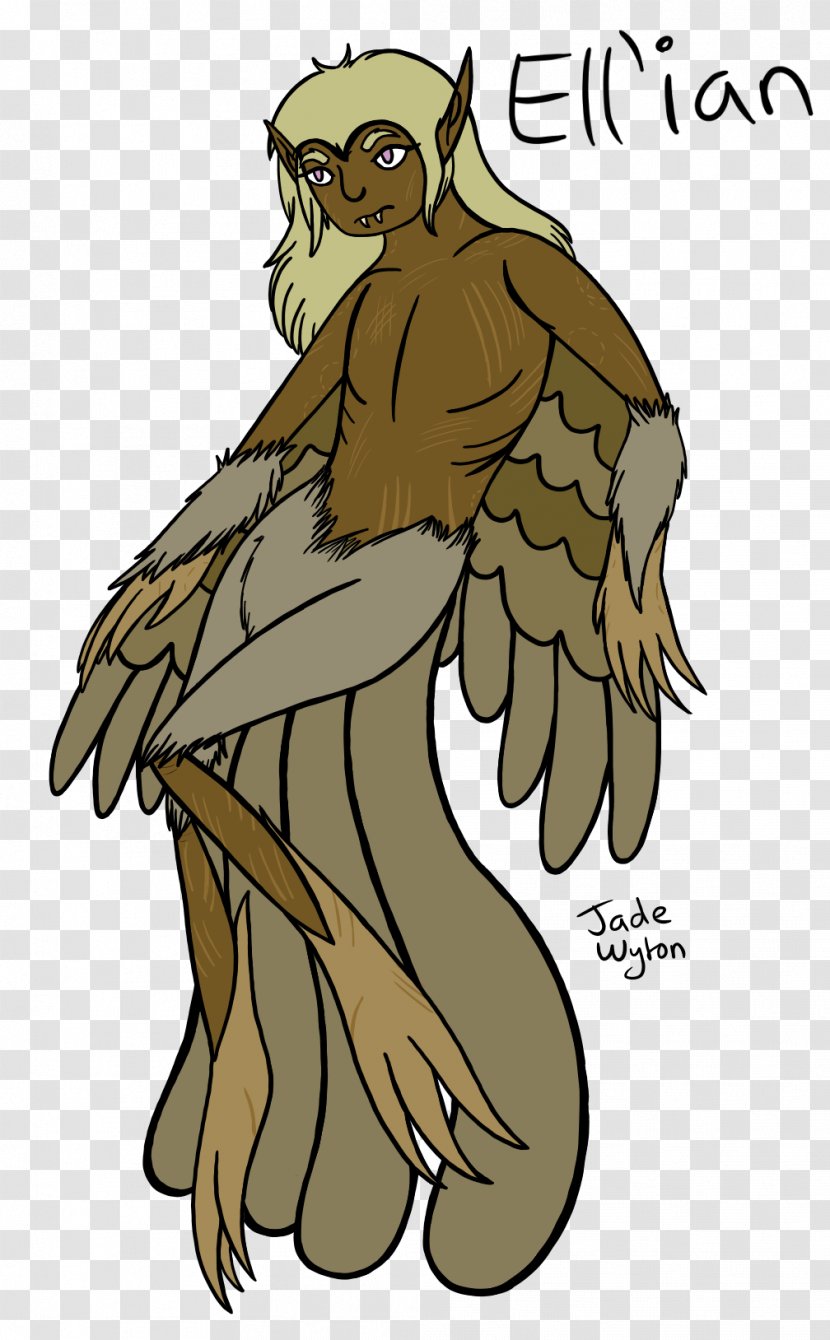 Owl Beak Feather Harpy - Bird Of Prey Transparent PNG