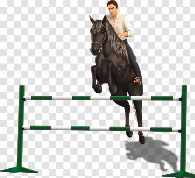 Show Jumping The Sims 3: Pets Horse Hunt Seat Stallion - 3 Transparent PNG