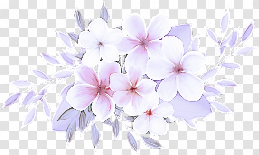 Cherry Blossom - Flowering Plant Transparent PNG