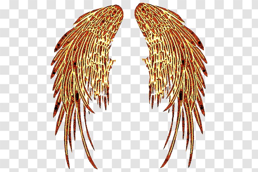 Angel Devil Demon Clip Art - Feather Transparent PNG