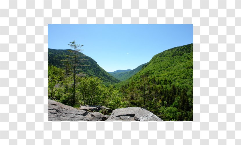 Crawford Notch Campground Mountain Pass New Hampshire Division Of Parks And Recreation State - Mount Scenery - Park Transparent PNG
