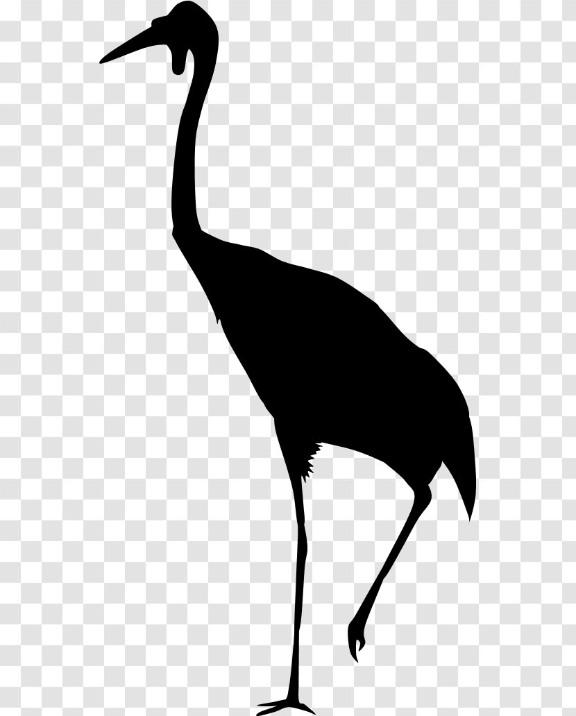 Water Bird Neck Beak Clip Art Transparent PNG