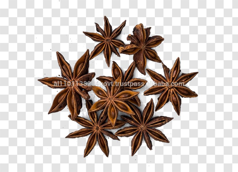 Five-spice Powder Curry Chinese Cuisine Star Anise - Hojicha - Anason Transparent PNG