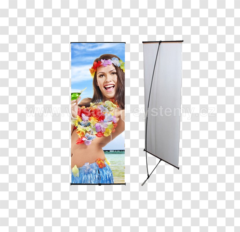 Display Advertising Picture Frames Rectangle - Frame Transparent PNG