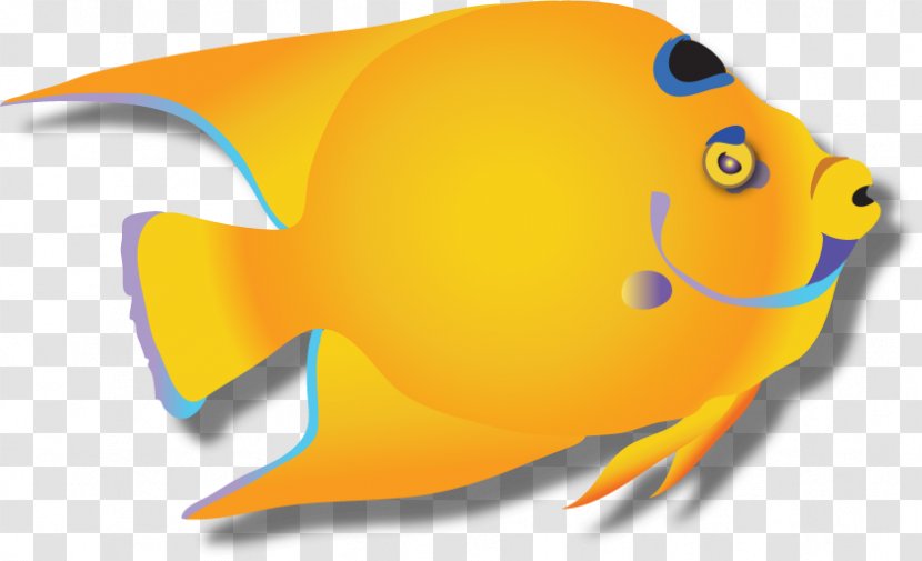 yellow corporate identity logo marine biology orange angelfish highlight transparent png pnghut