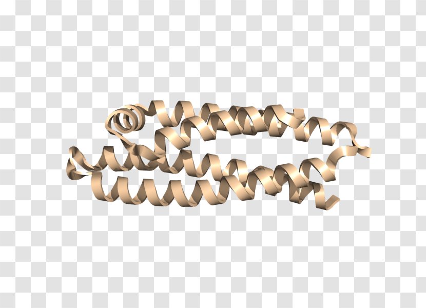 Body Jewellery Bracelet Transparent PNG