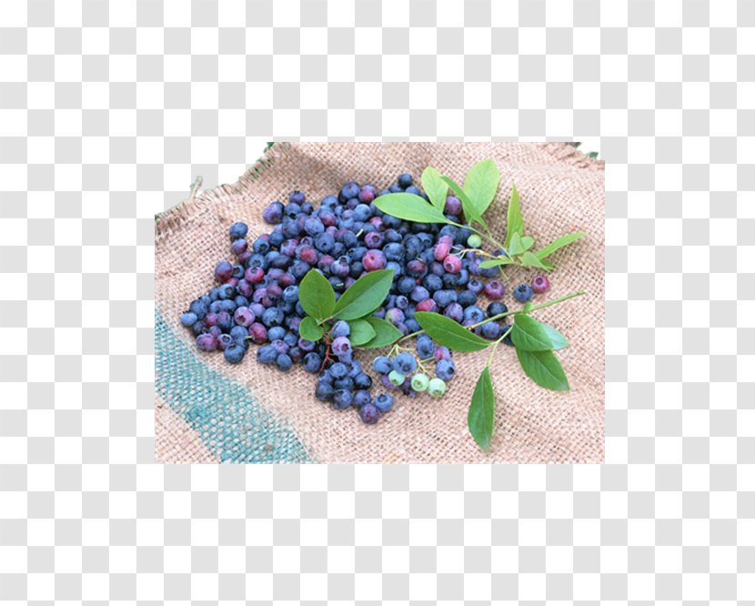 Blueberry Fruit Seed Vaccinium Corymbosum - Blueberries On Linen Transparent PNG