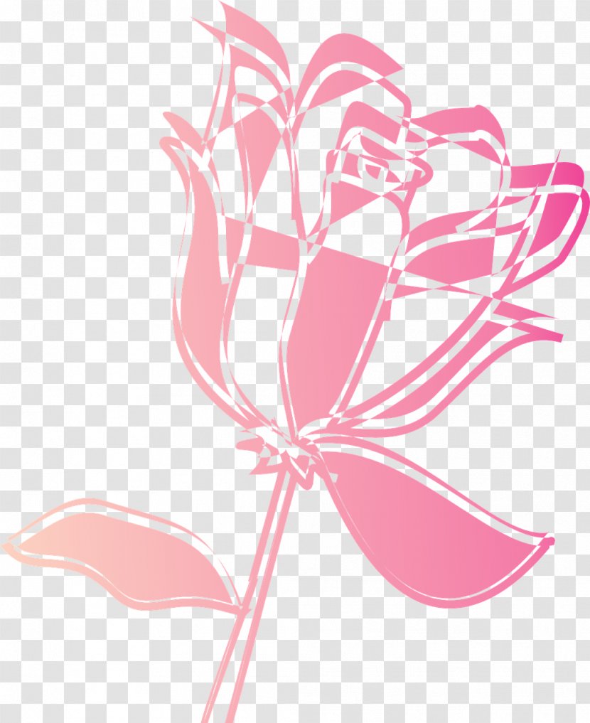 Flower Drawing - Hand Painted Transparent PNG