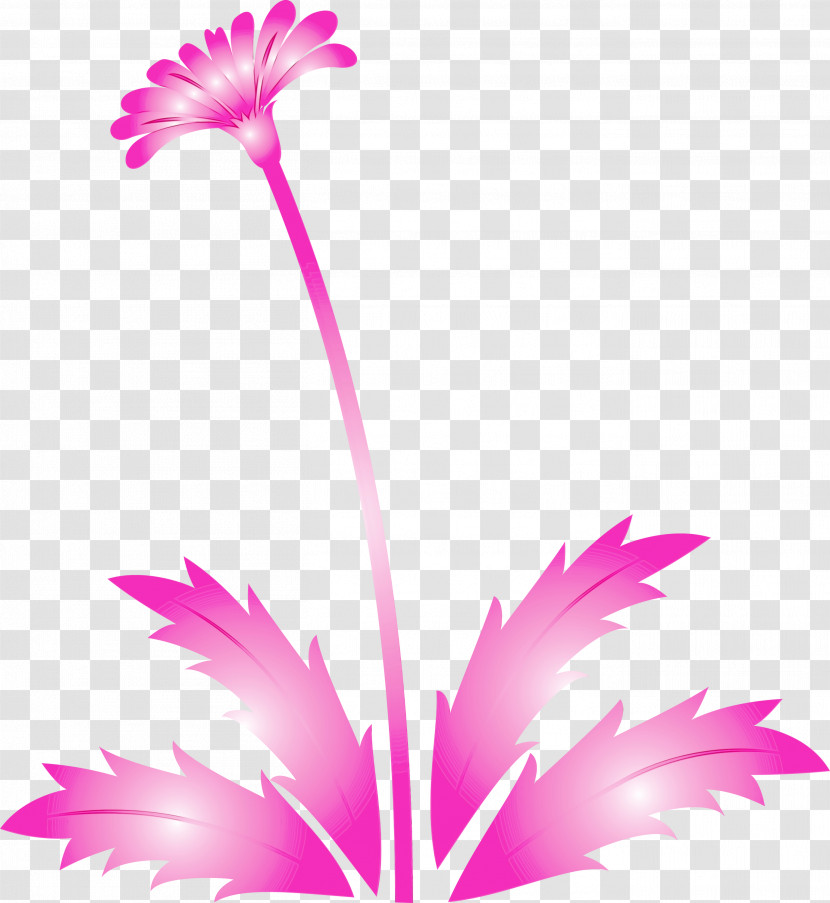 Pink Flower Plant Petal Pink Family Transparent PNG
