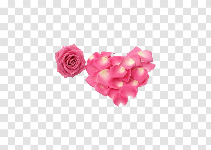 Rose Petal Flower Transparent PNG