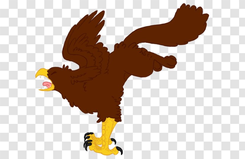 Bald Eagle Beak Clip Art - Americans Transparent PNG