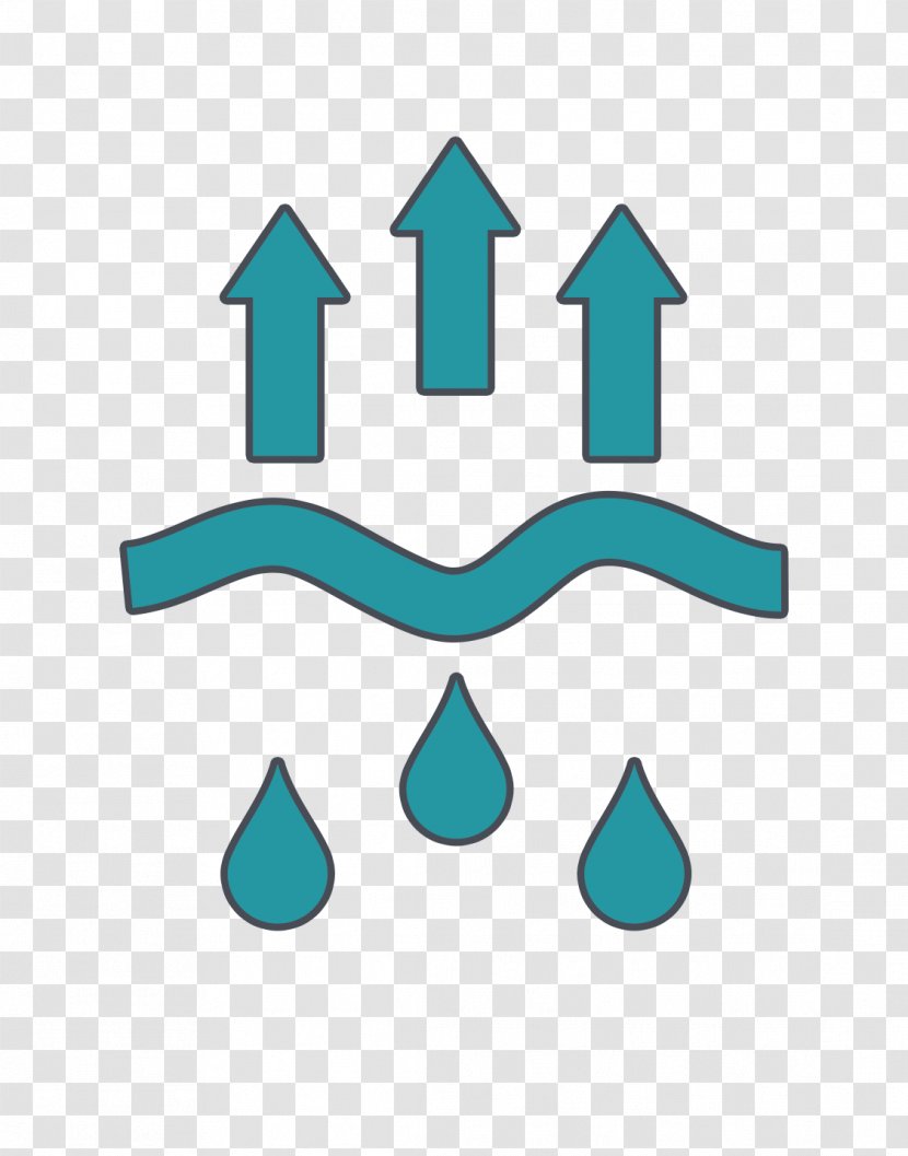 Evaporation Water Cycle Precipitation - Process Transparent PNG