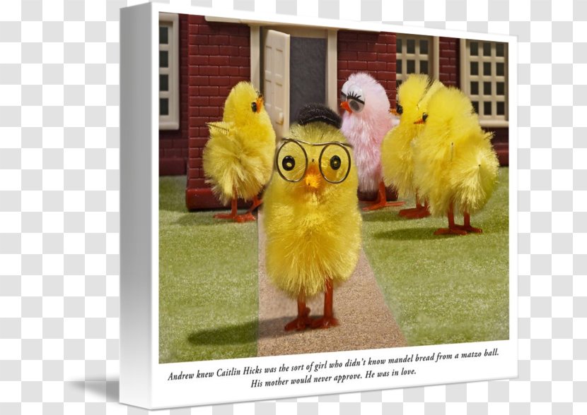 Gallery Wrap Canvas Art Beak Chicken As Food - Galliformes - Sloane Tanen Transparent PNG