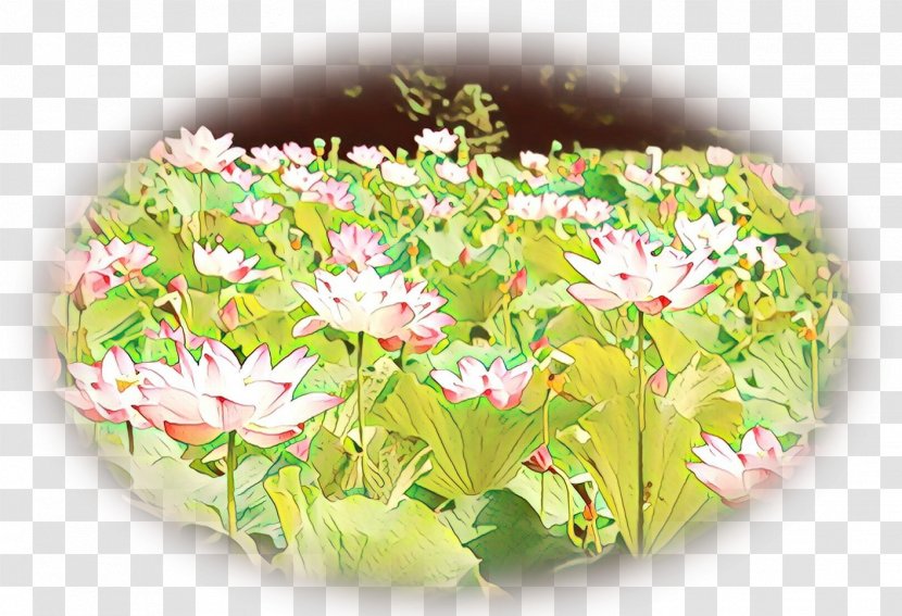 Floral Flower Background - Dish - Cuisine Food Transparent PNG