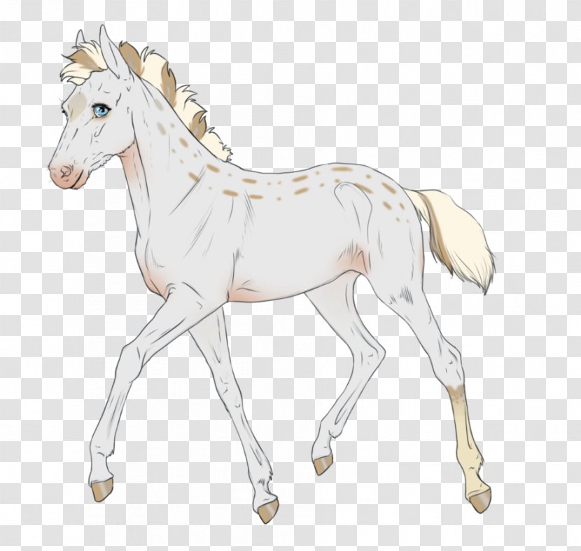 Mule Foal Stallion Mare Bridle - Equine Coat Color Transparent PNG