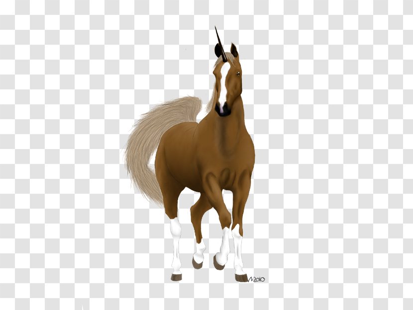 Mustang Foal Stallion Mare Colt Transparent PNG