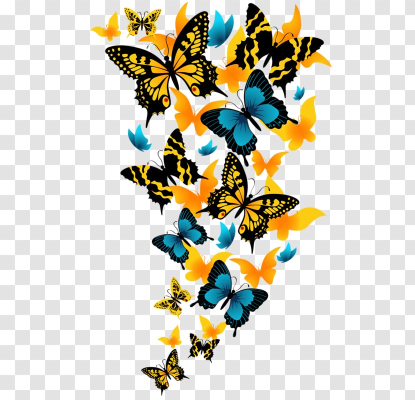 Butterfly Insect - Brush Footed Transparent PNG
