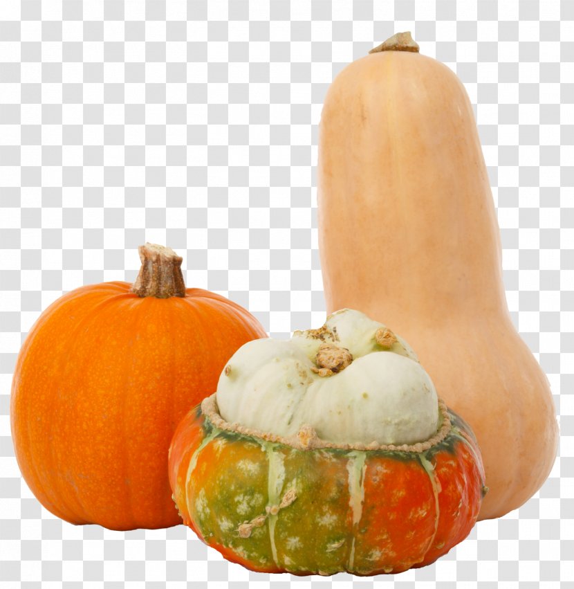 Pumpkin Gourd Vegetarian Cuisine Winter Squash Autumn - Harvest Transparent PNG