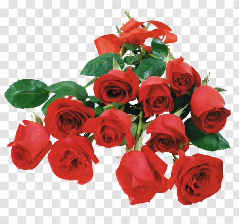 Rose Desktop Wallpaper Flower - Bouquet - Gerbera Transparent PNG